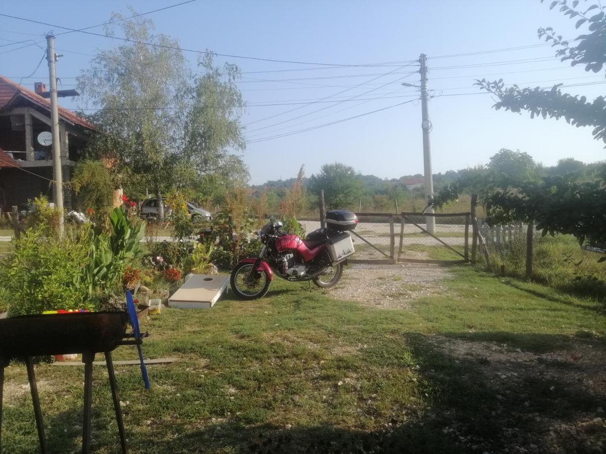 Stancic 019 Apartment Zajecar Luaran gambar