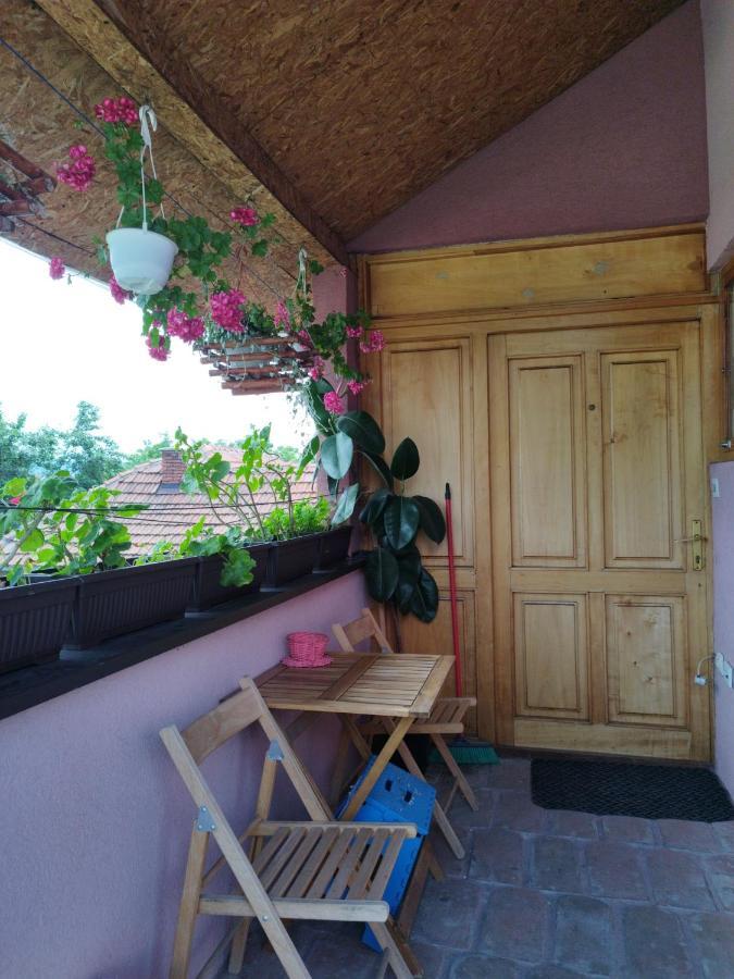 Stancic 019 Apartment Zajecar Luaran gambar