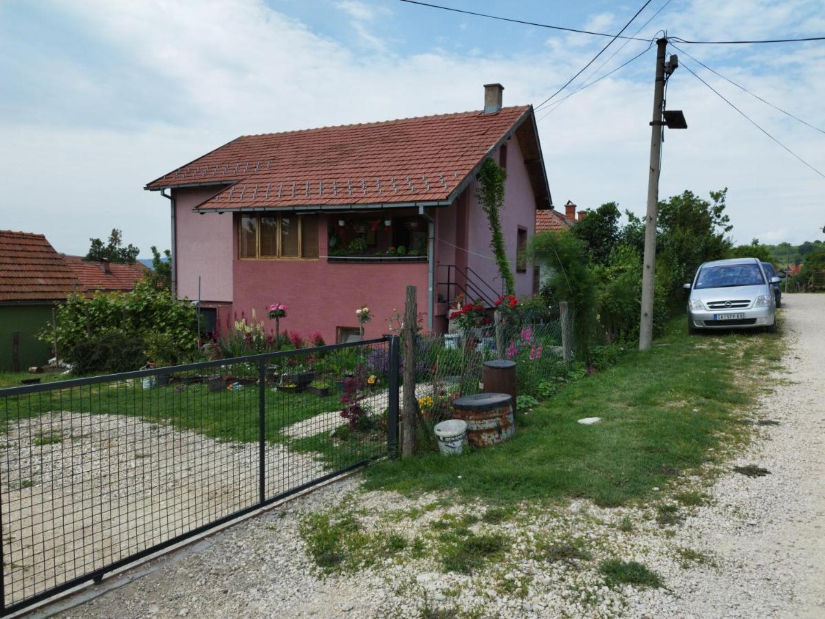 Stancic 019 Apartment Zajecar Luaran gambar