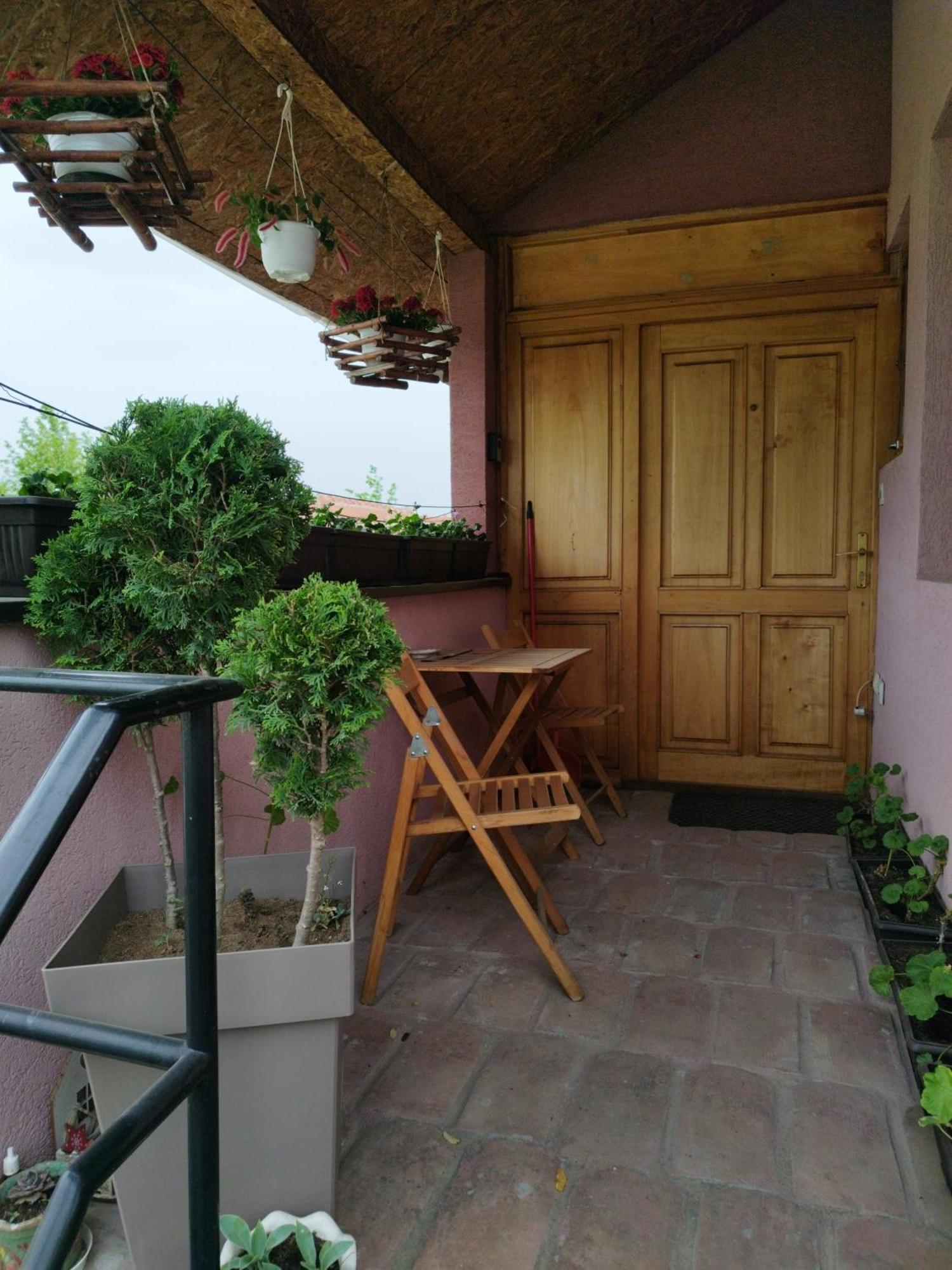 Stancic 019 Apartment Zajecar Luaran gambar