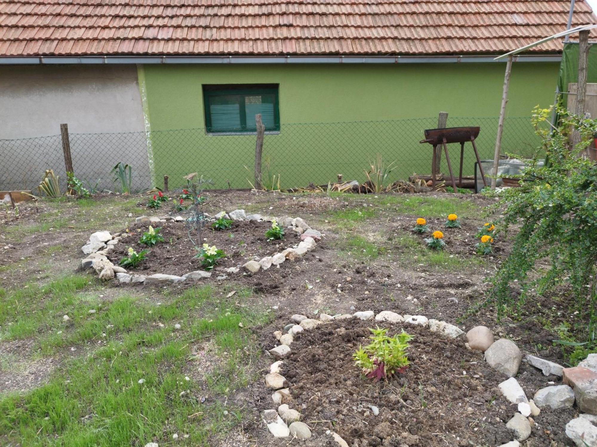 Stancic 019 Apartment Zajecar Luaran gambar